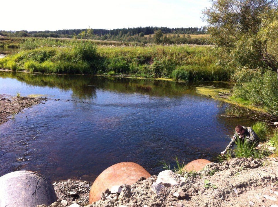 О проведении работ по ликвидации последствий нефтепроявлений